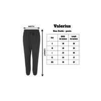 Light Gray Track Pant